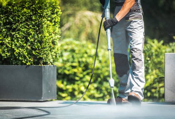 Best Warehouse Cleaning  in Holtsville, NY