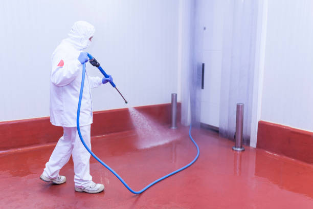Best House Exterior Washing  in Holtsville, NY