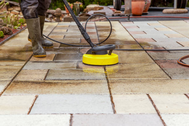 Best Solar Panel Cleaning  in Holtsville, NY