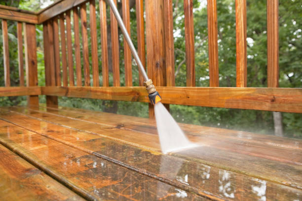 Best Gutter Cleaning  in Holtsville, NY
